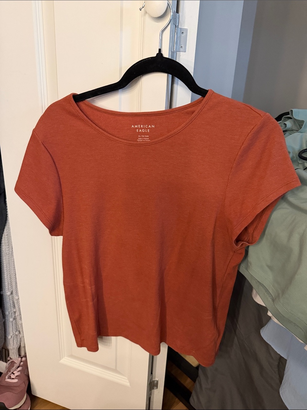 American Eagle Outfitters Women's Rust Short Sleeve Tee